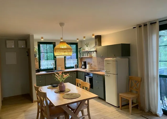 Sosnowy Nad Jeziorem Na Kaszubach 斯沃尔纳加西耶